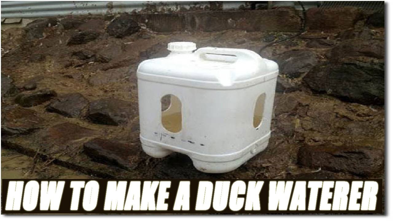 How To Build A Duck Waterer