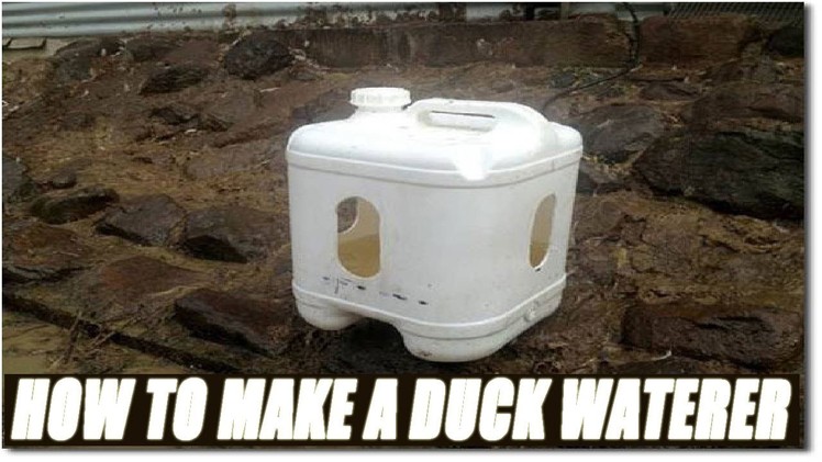 How To Make A Duck Waterer