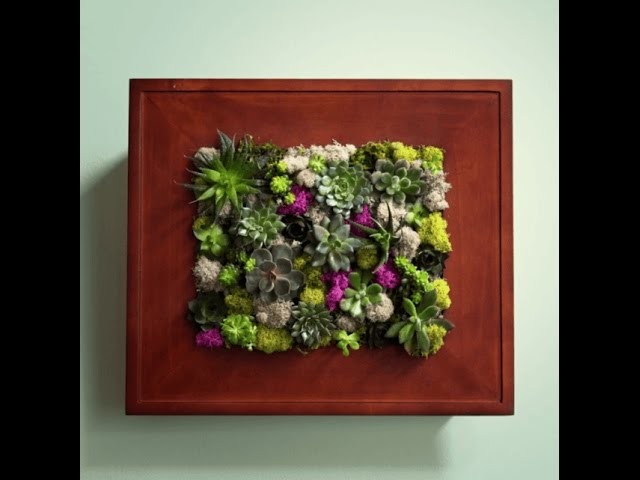 How to Make a Succulent Wall Garden with a Picture Frame