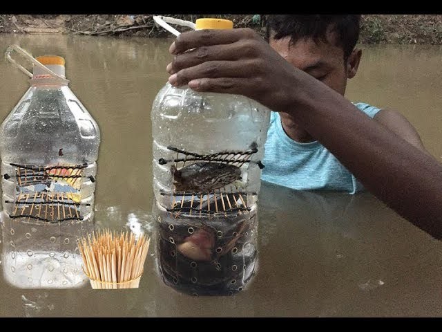 How to make Bottle with Toothpicks Fishing trap 500 Second (100% Working)