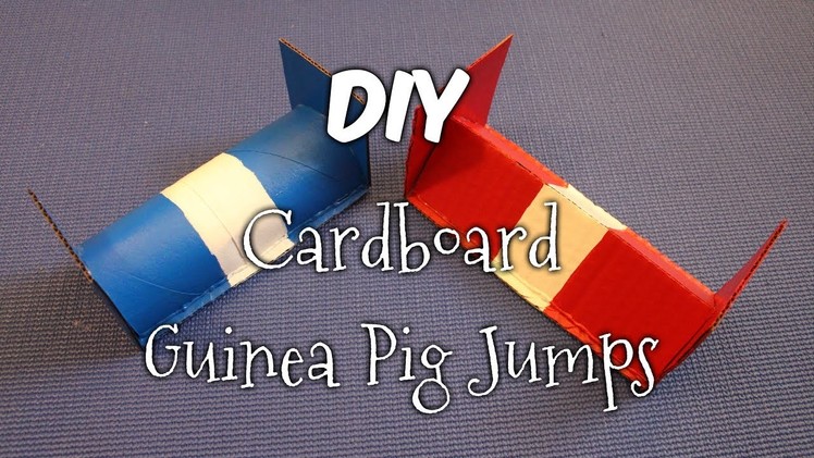How to Make Colourful Cardboard Guinea Pig Jumps
