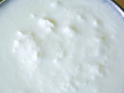 How to make Curd | how to make dahi | Curd at home | How to make Yogurt