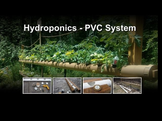 Hydroponics Vegetable Backyard Gardening - How to cut holes in PVC tubes for hydroponics (NFT)
