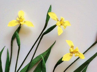 ABC TV | How To Make Yellow Walking Iris Paper Flower From Crepe Paper - Craft Tutorial