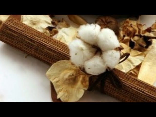 DYI   How to make cotton flower by crepe paper  Làm hoa cotton bằng giấy nhún