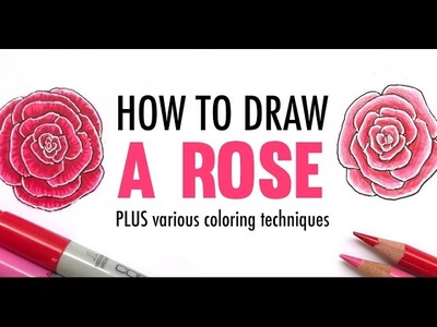How to Draw a Rose | Drawing Tutorial and Coloring Techniques with Markers or Pencils