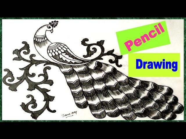 How to Draw Peacock with Beautiful Feather Design | Pencil Art