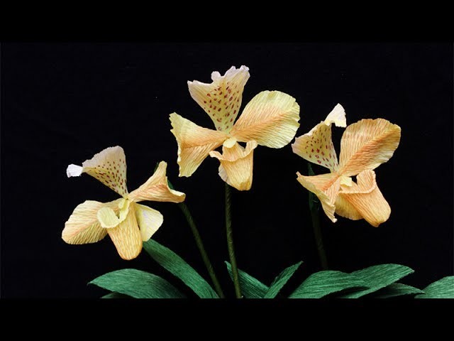 ABC TV | How To Make Paphiopedilum Gratrixianum Orchid Flower From Crepe Paper - Craft Tutorial