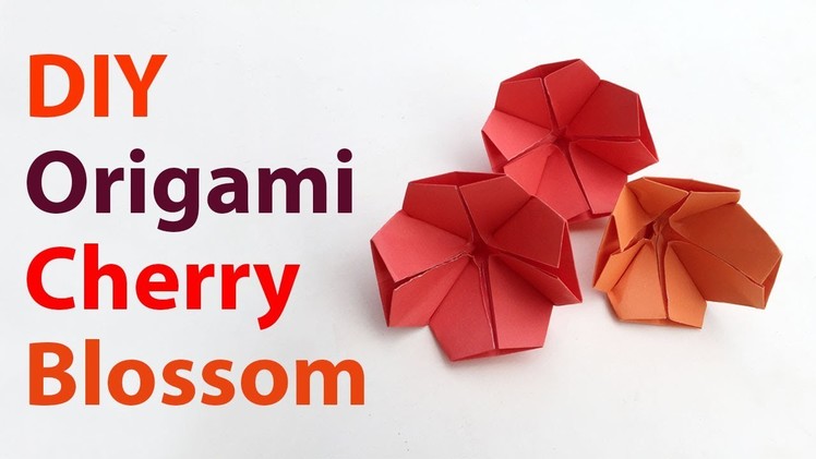 Beautiful Origami Cherry Blossom ✿ How To Make an Easy Origami Cherry Blossom Flower ✿ Step By Step