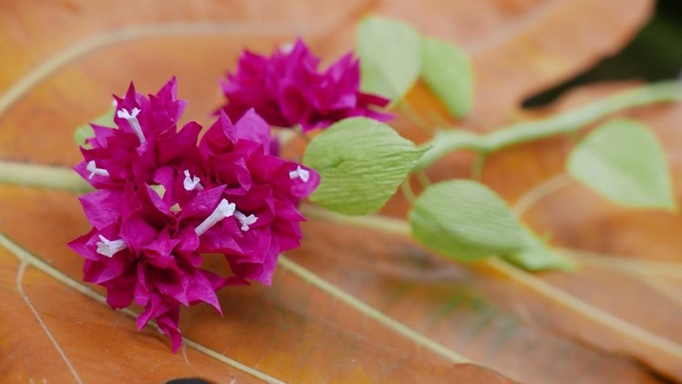DIY - How to make Bougainvillea flower by crepe paper  Làm hoa giấy bằng giấy nhún