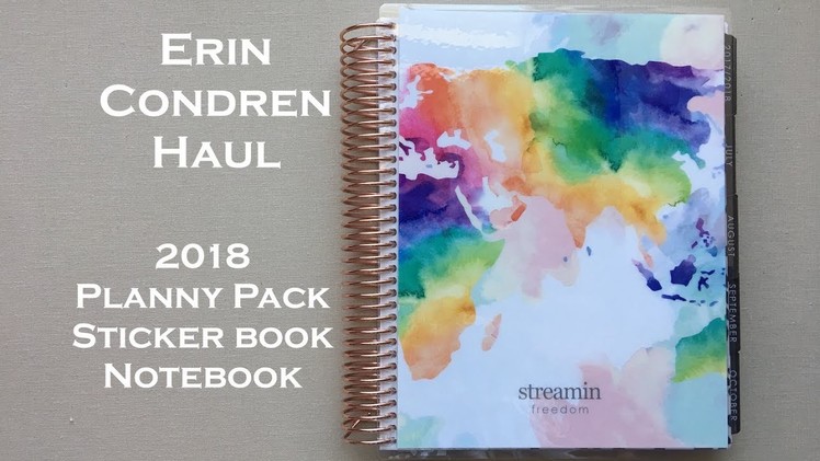 Erin Condren Haul | 2018 |  Planny Pack, Sticker book, & New Paper + $10 OFF link!