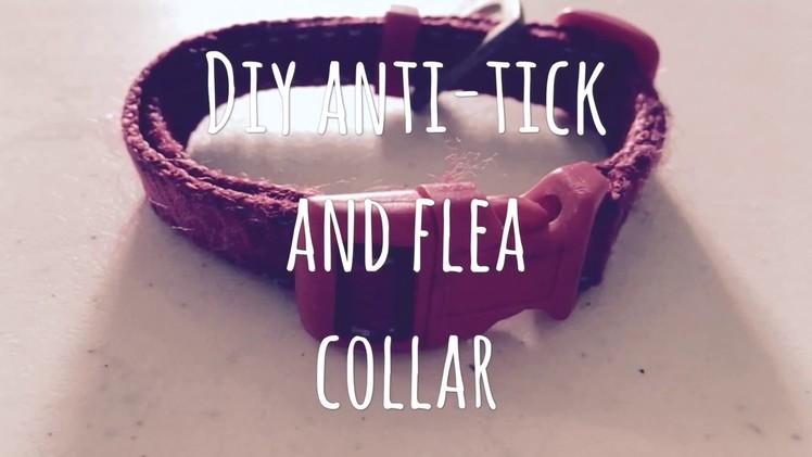 DIY anti tick and flea dog collar