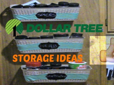 DIY Dollar Tree Storage Idea.Seansoning Holders