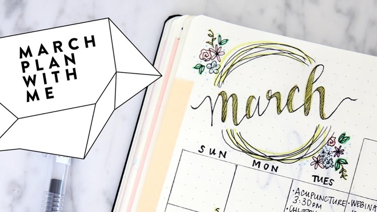 2017 MARCH Bullet Journal Update | Plan with Me MARCH Bujo Flip Through | Miss Louie