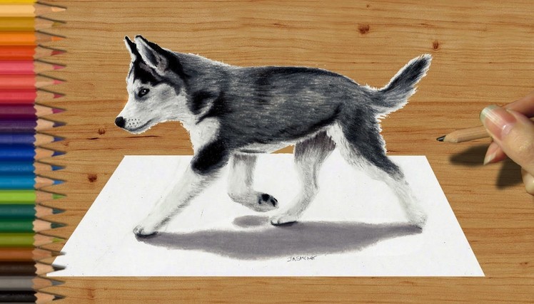 3D Pencil Drawing: Siberian Husky Puppy  - Speed Draw | Jasmina Susak