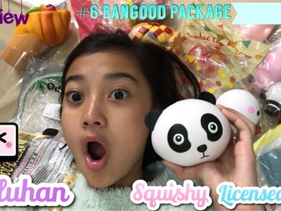 PULUHAN SQUISHY LICENSED ?!?! #6 Review Package from bangood.com !!! | Friendship DIY