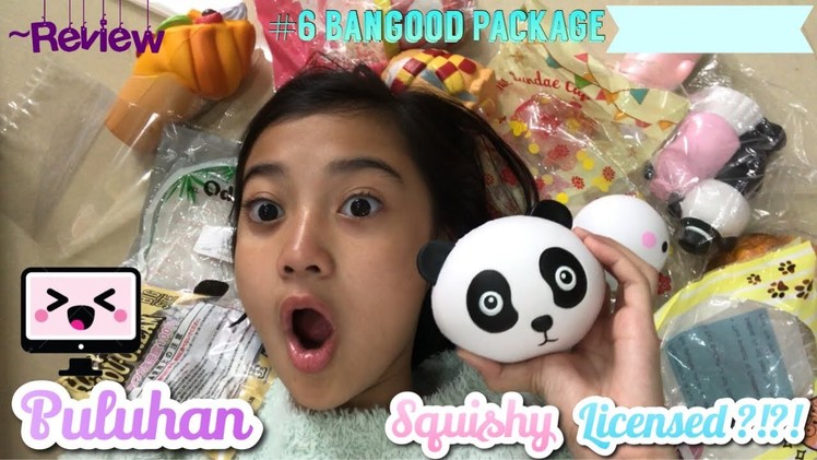 PULUHAN SQUISHY LICENSED ?!?! #6 Review Package from bangood.com !!! | Friendship DIY