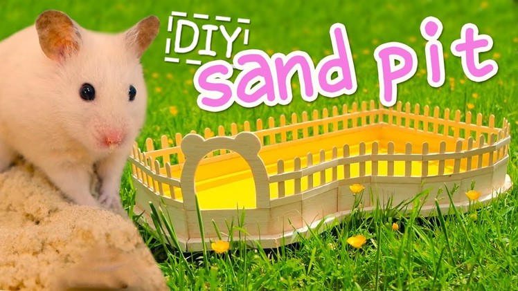 ???? Sand Pit | HAMSTER DIY ????