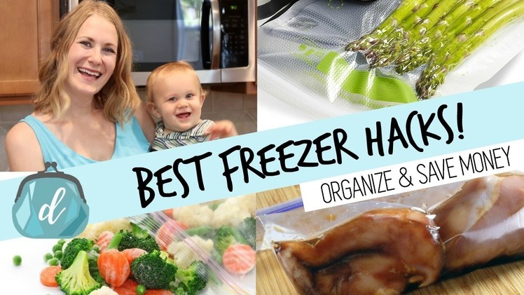 BEST way to freeze food & organize your deep freezer!