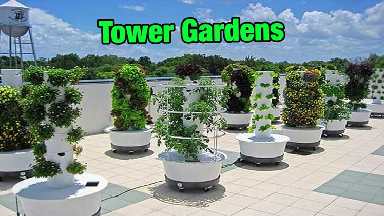 Tower Gardens - FOOD GARDENING