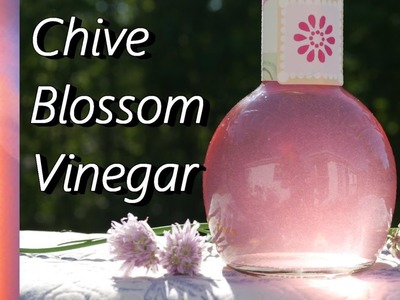 4K How to Make Chive Blossom Vinegar
