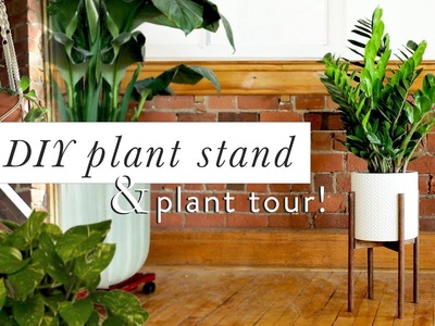 DIY MID CENTURY MODERN PLANT STAND & PLANT TOUR