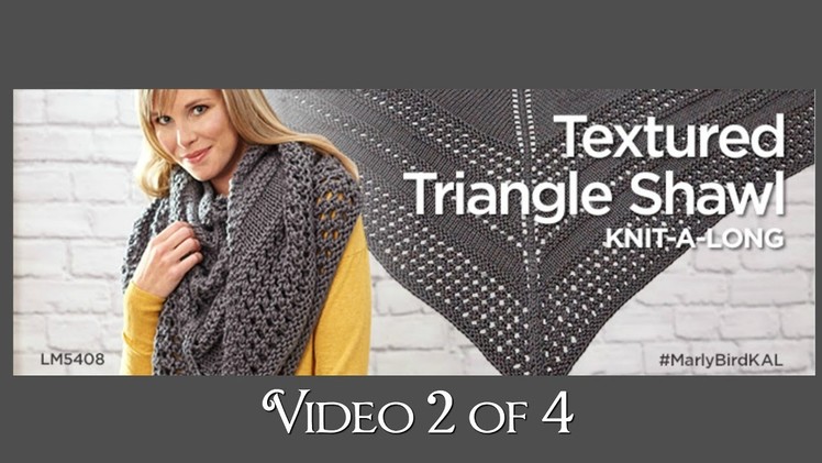 How to Knit Textured Triangle Shawl Knit-along Video 2 of 4