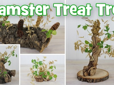 Natural Hamster Treat Trees DIY by Hammy Time