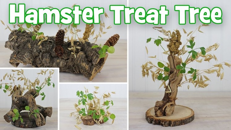 Natural Hamster Treat Trees DIY by Hammy Time