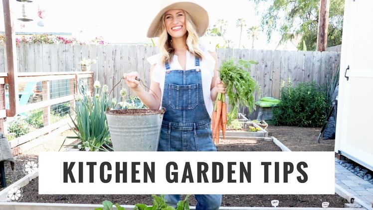 Tips To Start + Grow A Kitchen Garden | DIY, Lifestyle, Gardening | Healthy Grocery Girl YouTube
