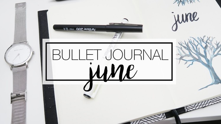 June Bullet Journal - Organise & Plan With Me