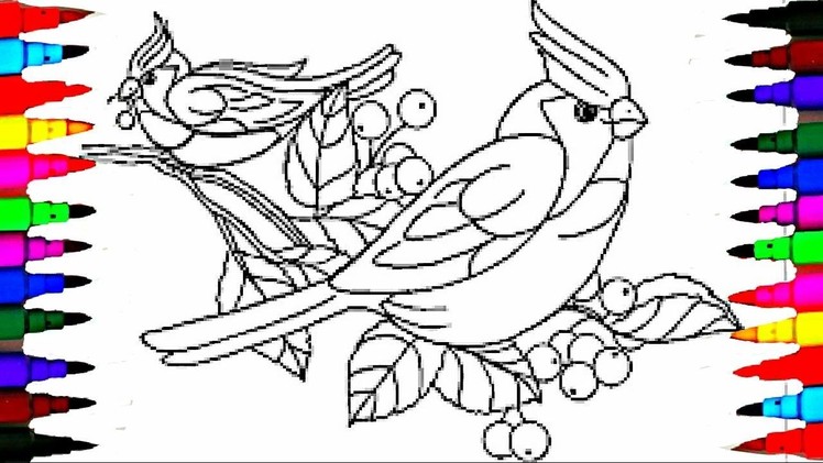 Learn to Color BIRDS Coloring Pages - Videos For Children - Learn Colors