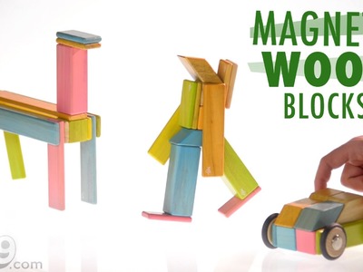 Magnetic Wood Blocks by Tegu