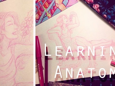 3 Techniques for Learning Anatomy!