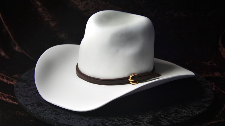 3D Cowboy Hat Cake Tutorial - Sample