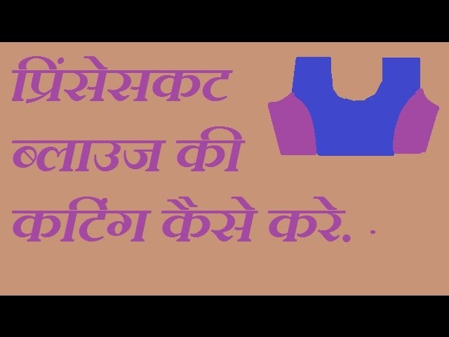 DIY ! प्रींसेसकट ब्लाउज कटिंग कैसे करते है?.how to cutting princess cut blouse in hindi