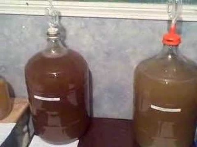 How to Make Mead Part8: 16 Hours Later