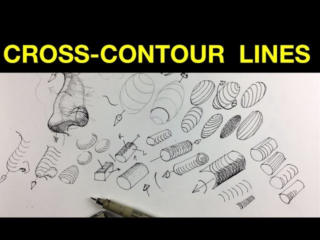 How to Use Cross-Contour Lines | Improve your cross-hatching & Ink drawing