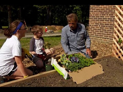 How to Install a Raised Vegetable Garden with Arbors - This Old House