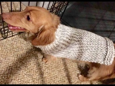 Loom Knit Dog Sweater