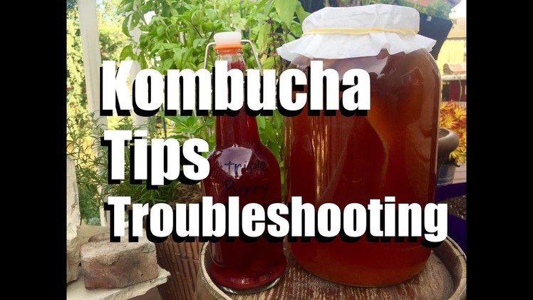 Making Kombucha Tea  - Tips and Troubleshooting