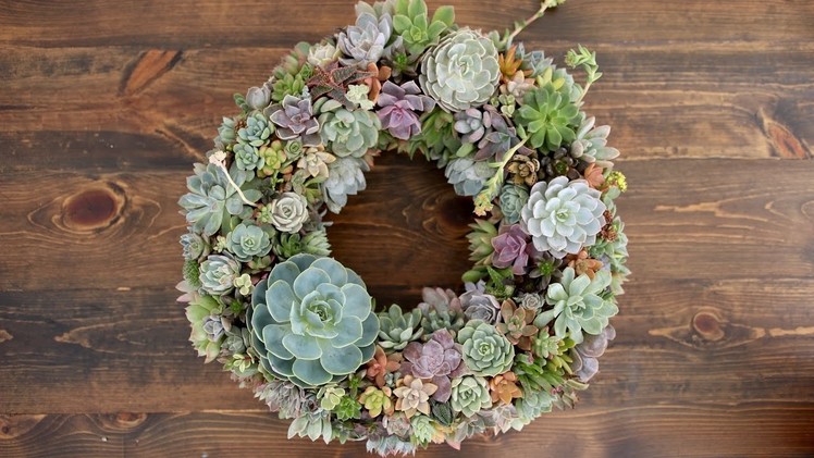 Succulent Wreath. Garden Answer