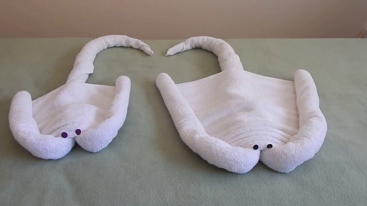 Towel Folding animal, how to fold a Stingray.