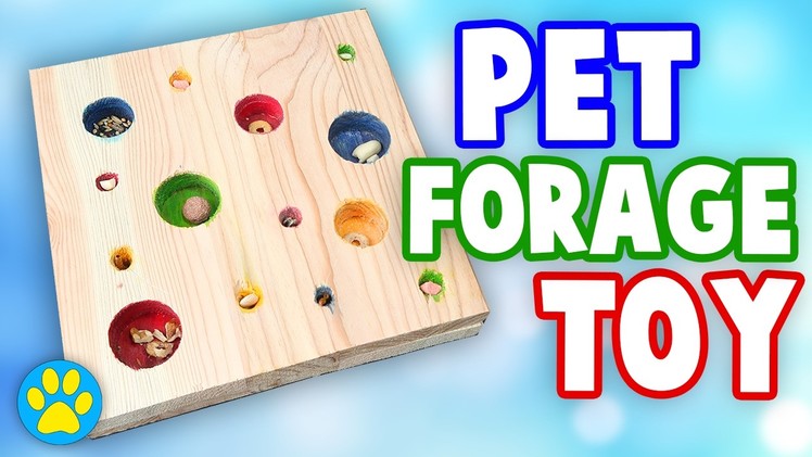 Hamster Forage.Puzzle Toy