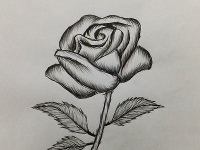 How to draw a Rose-Easy for beginners