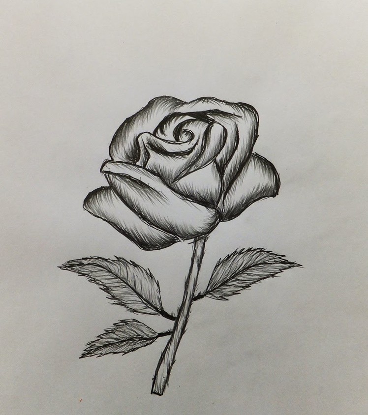 How to draw a Rose-Easy for beginners