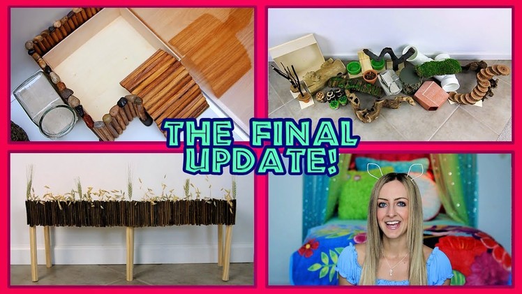 The Final Cage Update: Finishing Fun DIY Projects & A Plant Haul! ????