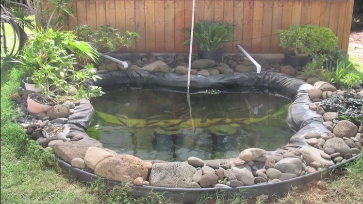 How to build an Aquaponics System. Do It Yourself Video