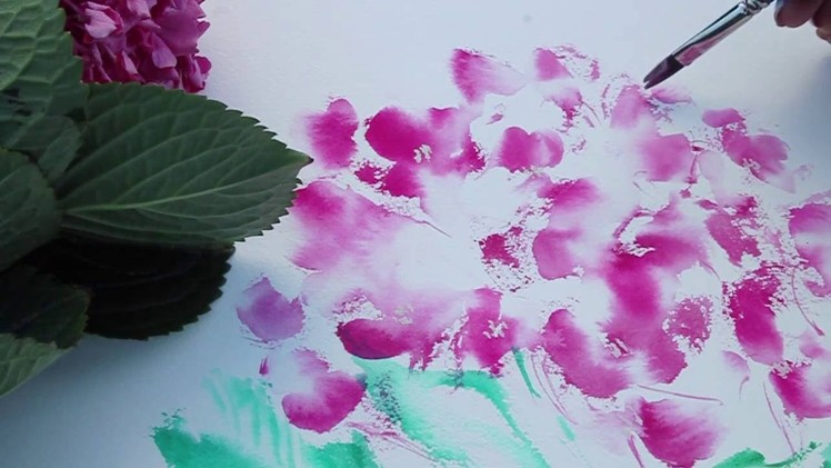 HOW TO PAINT HYDRANGEAS IN WATERCOLOR