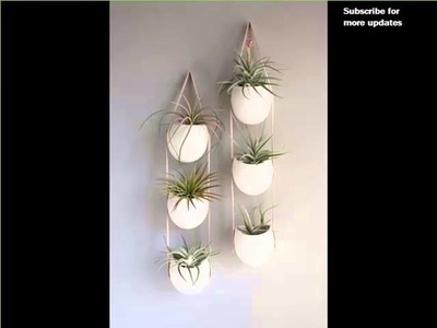 Indoor Wall Hanging Plants | Indoor House Or Office Plants Picture Collection